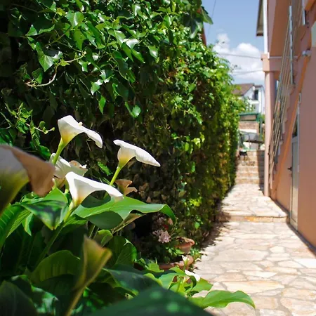 Markov Apartamento
