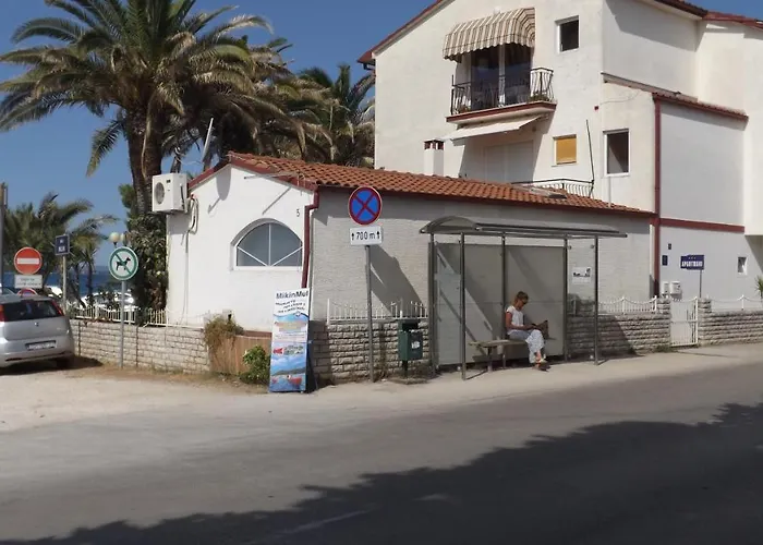 Markov * Zadar
