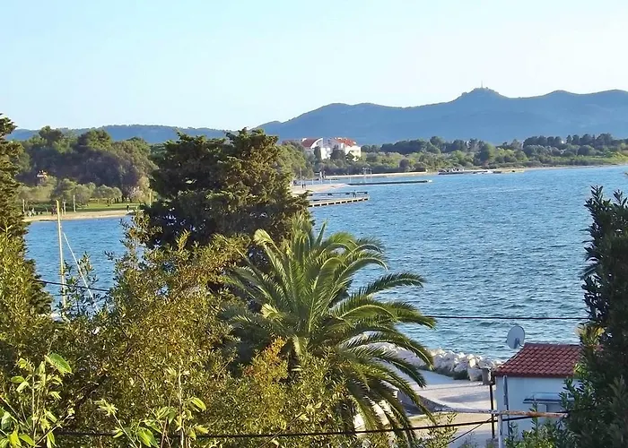 Markov Zadar